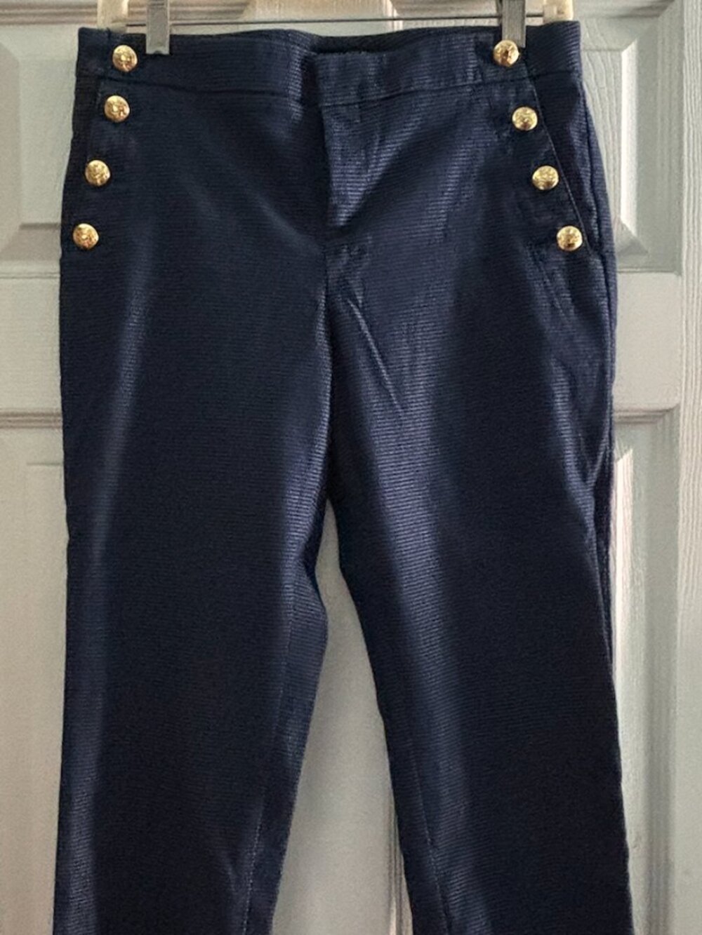 Banana Republic Navy Blue Capri Pants, Size 2S